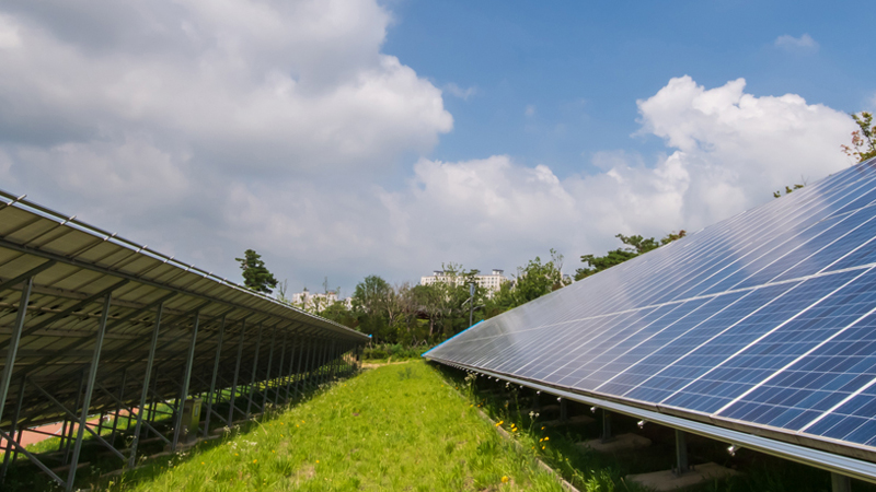 서브비주얼이미지